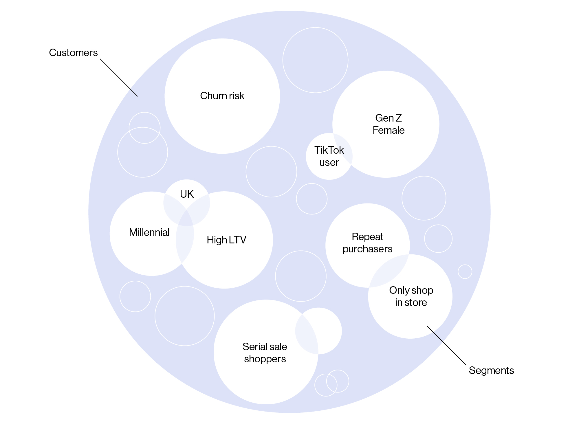 A diagram showing some possible ways of group customers into segments